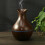 Ranpo (Light Brown) Humidifier LED Ultrasonic Essential Oil Diffuser 11
