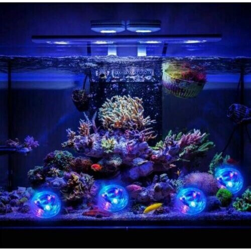 Ranpo (Blue, 2 Pcs) 1-2X Underwater LED Bath Light Colourful Ball Toy 2