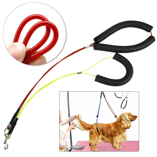 No-Sit Pet Haunch Holder Grooming Harness Restraint Dog Leash Loop 2