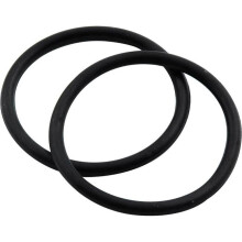 Fuel Filter O-Ring, Pack of 2