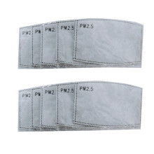PM2.5 Face Mask Filter Insert (Adult)