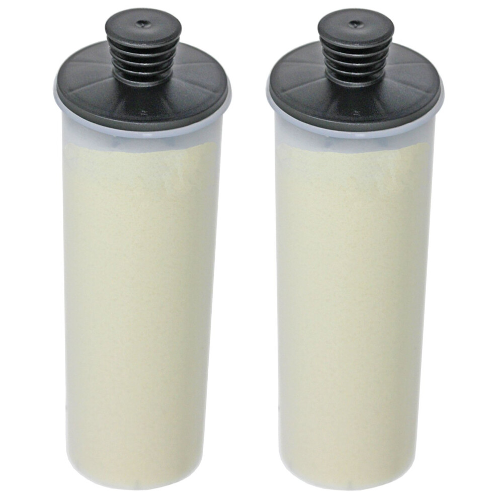 Descaling Filter Cartridge for KARCHER SC3 SC3MX Easyfix Steam Cleaner (Pack of 2)