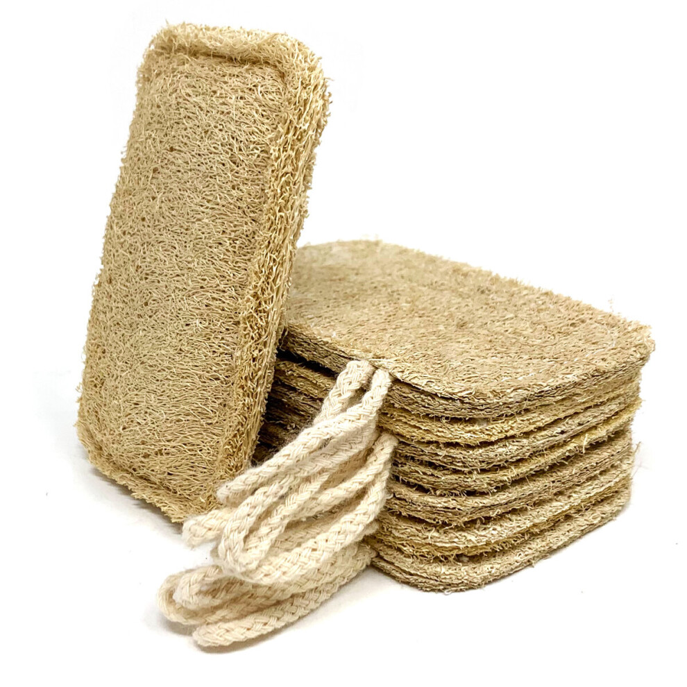 Pack of 8 Natural Dishwasher Eco-Friendly & Biodegradable Sponge