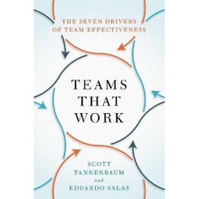 Teams That Work | Hardback