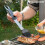 5 in 1 Barbecue Utensils Set Bbkit InnovaGoods 8