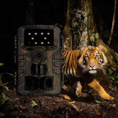 Caméra de piste numérique pour la chasse avec vision nocturne 2