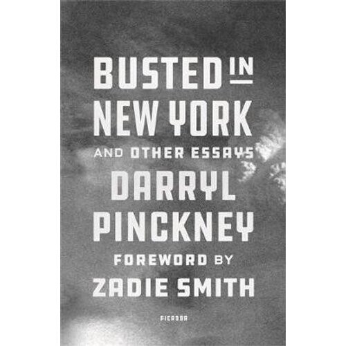 Busted in New York & Other Essays | Paperback