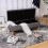 Living And Home Velvet Storage Bench with Rubber Wooden Leg 3