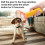 Ranpo (Yellow) Ultrasonic Pet Dog Repeller Anti Barking Training 4