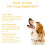 Ranpo (Yellow) Ultrasonic Pet Dog Repeller Anti Barking Training 7