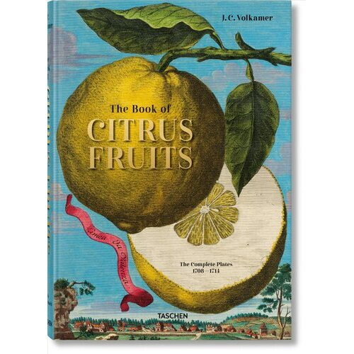 J. C. Volkamer. Citrus Fruits | Hardback
