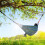 (Blue) Outdoor Colourful Striped Camping Hammock 3