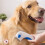 Electric Flea Comb Pet Electric Lice Remover  Cleaning Tool 2