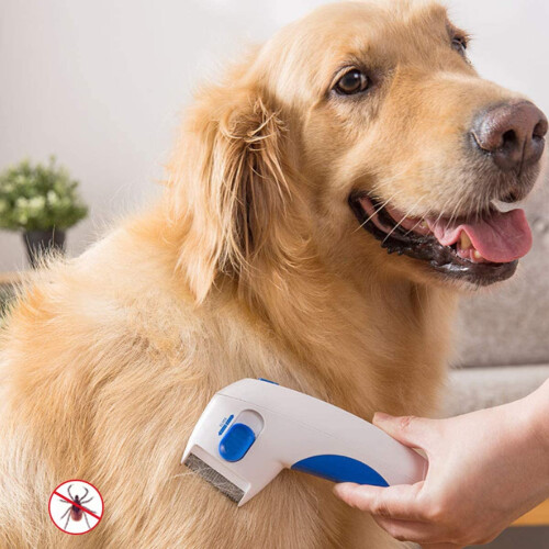 Electric Flea Comb Pet Electric Lice Remover  Cleaning Tool 1