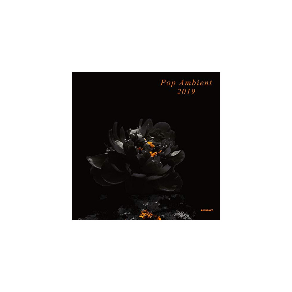 Black Pop Ambient 2019 [Vinyl] Size 1