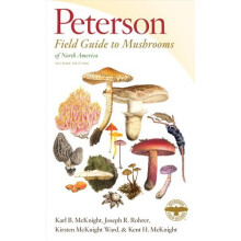 Peterson Field Guide to Mushrooms of North America | Paperback