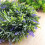 Living And Home (Purple) Hanging Wreath Artificial Lavender Flower Topiary 6