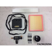 Small IRIDIUM Service KIT for Jeep Grand Cherokee WJ 4.0L 1999-2001 FSK/WJ/029A