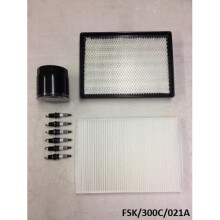 Small PLATINUM Service KIT for Chrysler 300C 3.5L 2008-2010 FSK/300C/021A