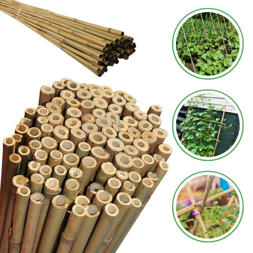 (5Ft (150 cm), 40) Heavy Duty 2ft - 8ft Bamboo Canes Plant Support