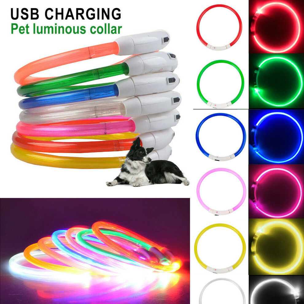 Ranpo (White) Usb Recharge Led Pet Dog Collar Night Luminous Safety Cat Neck Ring Cuttable