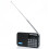 DAB / DAB+ Digital Radio Portable with FM Rechargeable Battery Bluetooth Speaker 10