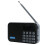 DAB / DAB+ Digital Radio Portable with FM Rechargeable Battery Bluetooth Speaker 2