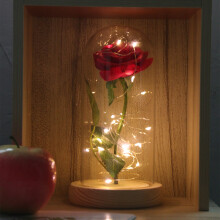 Enchanted Eternal Rose Flower In Glass LED Light Valentine's Party