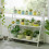 Living And Home (White) 3 Tier Folding Plant Pot Stand Display Step Ladder Shelf 2