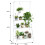 Living And Home (White) 3 Tier Foldable Plant Stand Ladder Shelf with Hanging Bar 5