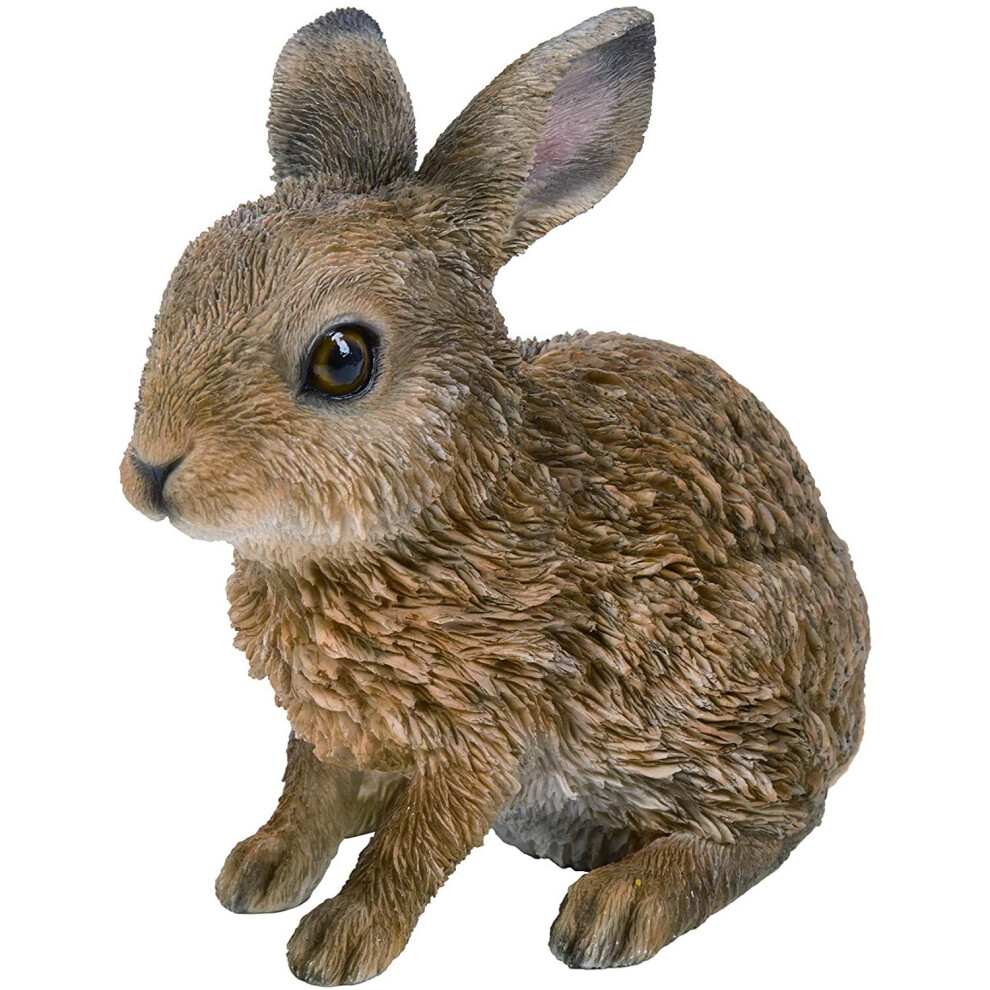 Vivid Arts Sitting Leveret Hare, Garden Or Indoor Resin Decoration (Xrl-Leve-E)
