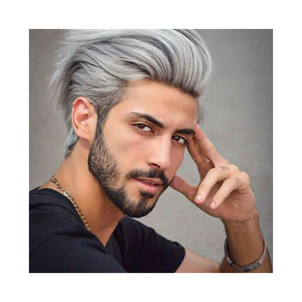 Handsome Men Silver Grey Wig Short Synthetic Hair Male Cosplay Party Full Wigs