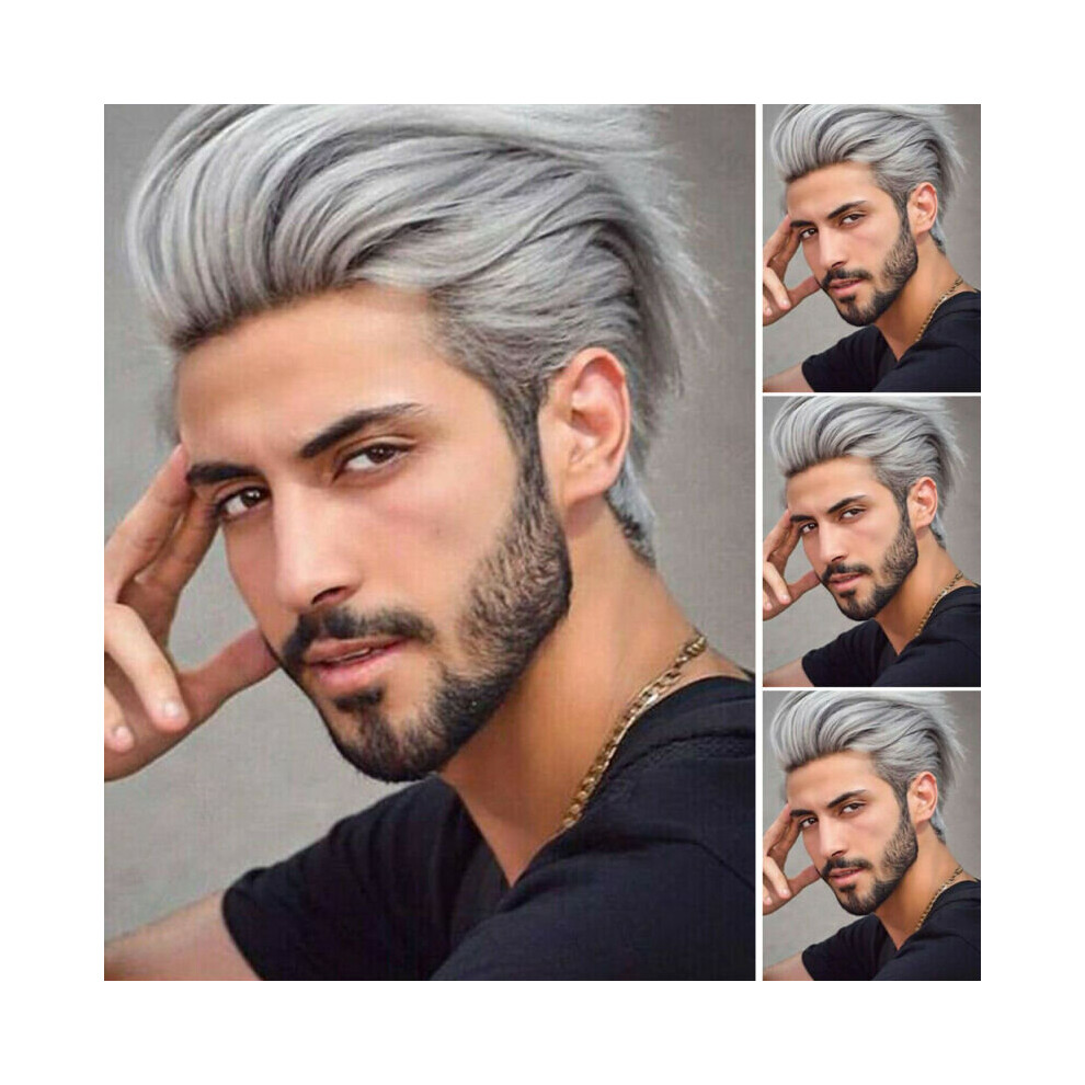 Men's Handsome Silver Grey Wig Short Synthetic Hair Male Cosplay Party Full Wigs