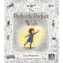 The Perfectly Perfect Wish | Hardback