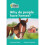 Level 3 - Why do people have horses? 1