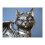 Steampunk Cat with Wings | Resin | Silver 6
