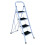 4 Step White Ladder 1