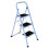 3 Step White Ladder 1