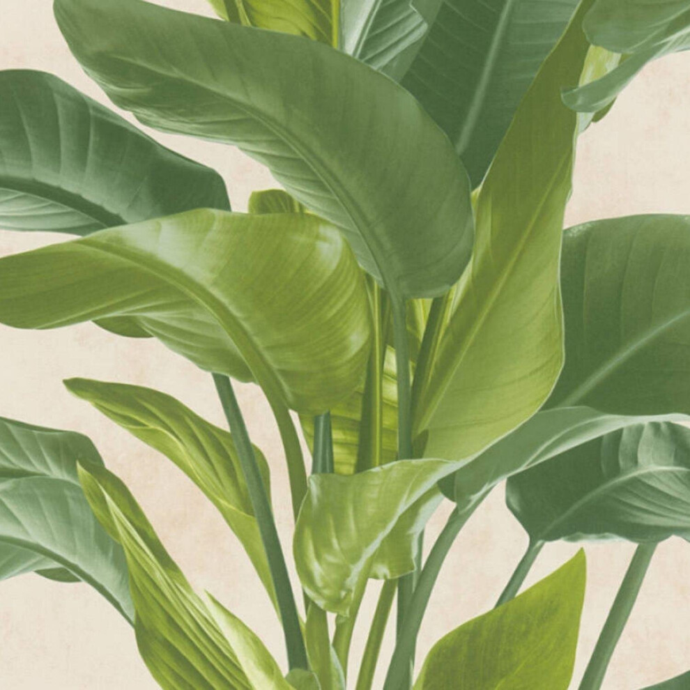 Metropolitan Stories Leaf Vinyl Wallpaper Textured Antonio Barcelona 4051315476048