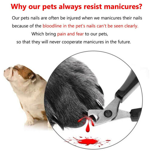 Pet Dog Cat Nail Claw Clippers Trimmer Ψαλίδι ψαλίδι Κόφτες με LED 2