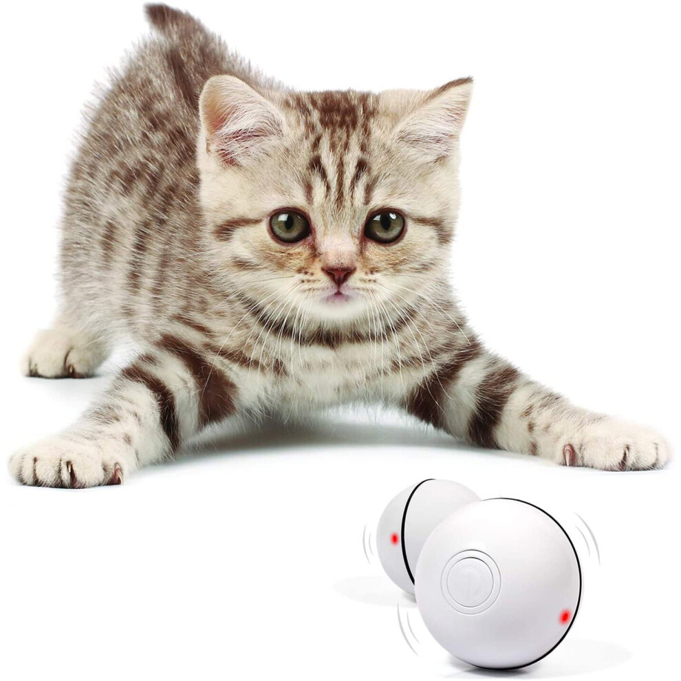 Interactive Cat Toys Ball LED Light 360 Self Rotating Ball USB Rechargeable Cat Ball Toy Stimulate Hunting Instinct Kitten Chaser Roller Pet Toy on OnBuy