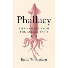 Phallacy