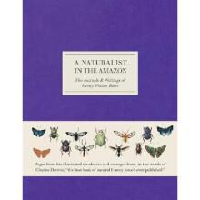 Naturalist in the Amazon