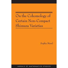 On the Cohomology of Certain Non–Compact Shimura Varieties (AM–173)