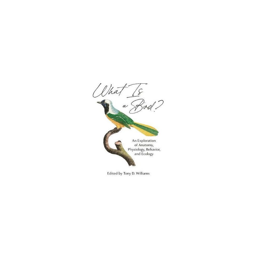 What Is a Bird? – An Exploration of Anatomy, Physiology, Behavior, and Ecology