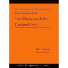 Non–Archimedean Tame Topology and Stably Dominated Types (AM–192)
