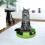 ASAB Catch The Mouse Moving Cat Toy | Cat Mouse Toy 4
