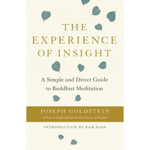 The Experience of Insight | Paperback