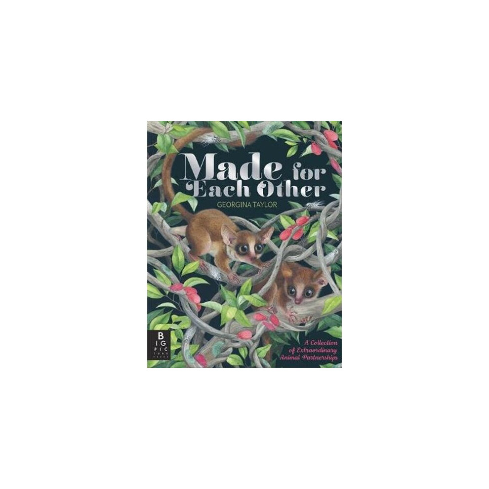 Made for Each Other | Hardback