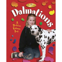 Dalmatians